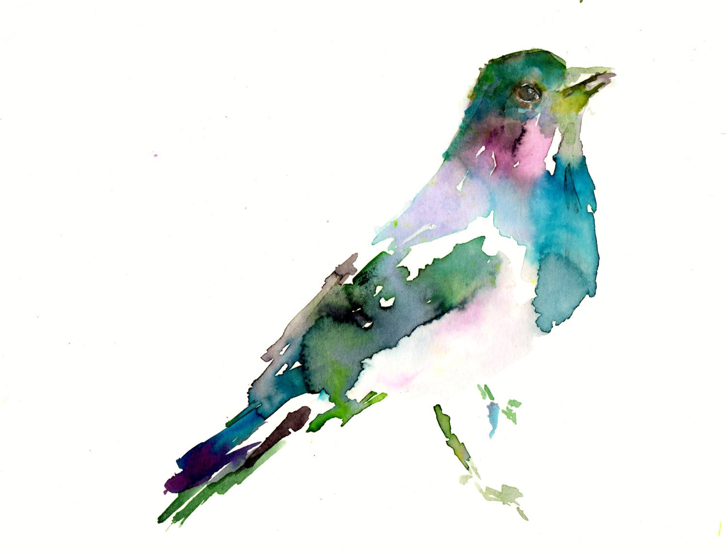 1500x1134 Waterbolor Bird Print Abstract Bird Painting Print Of Bird Etsy - Watercolor Bird Abstract