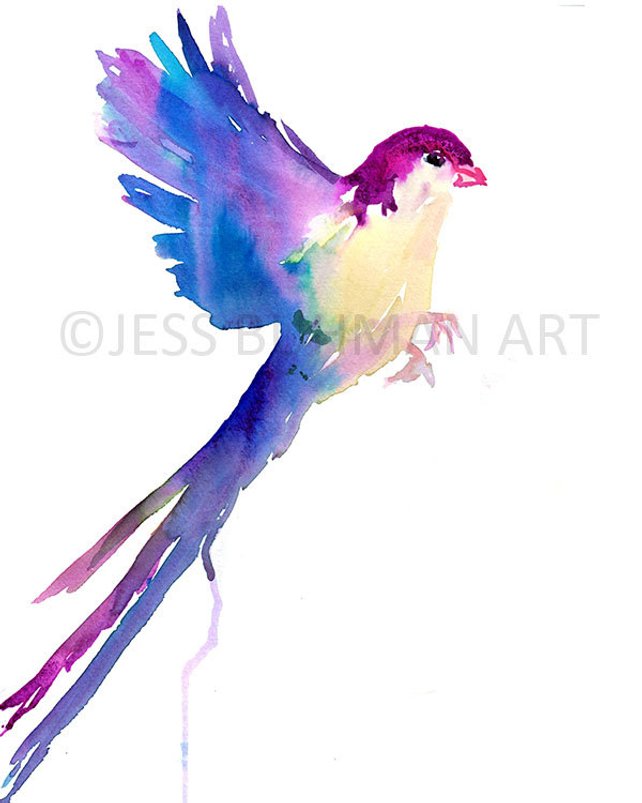 642x803 Watercolor Bird Print Abstract Bird Art Colorful Bird Print Etsy - Watercolor Bird Abstract