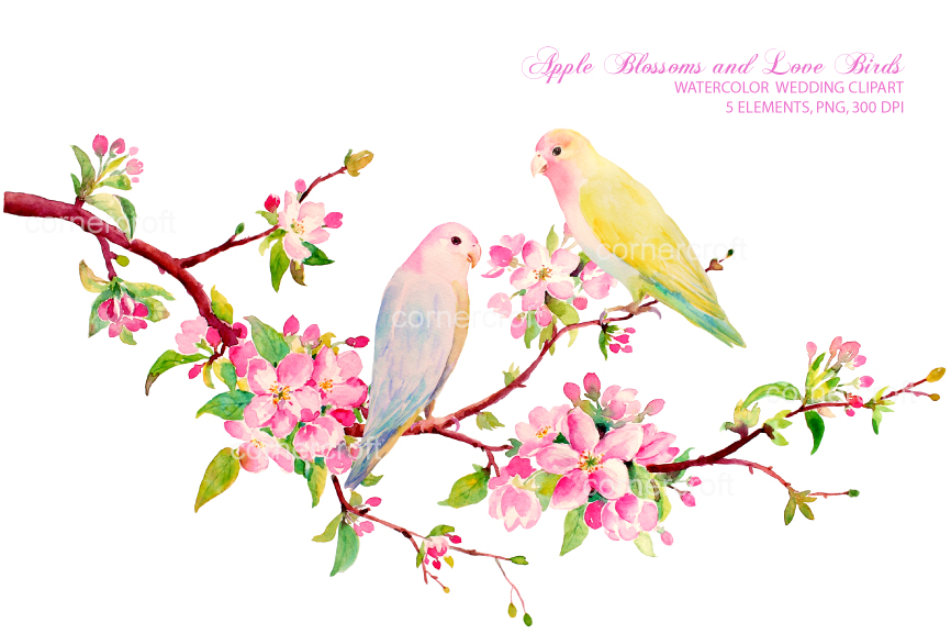 Watercolor Bird Clipart