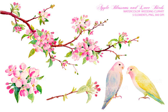 570x380 Collection Of Free Blossomed Clipart Bird. Download On Ubisafe - Watercolor Bird Clipart