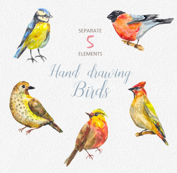 570x560 Digital Watercolor Birds Clip Art - Watercolor Bird Clipart