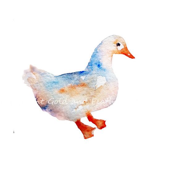 570x570 Duck Clip Art White Watercolour Bird Clipart By Goldandfeather - Watercolor Bird Clipart