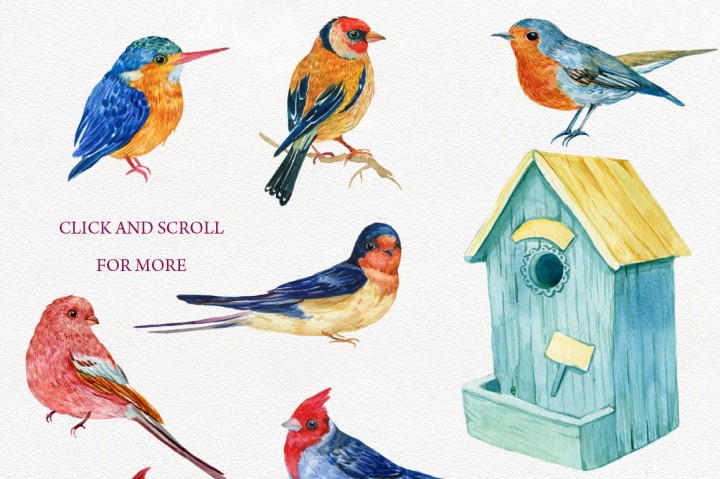 720x479 Fun Pics Amp Images - Watercolor Bird Clipart