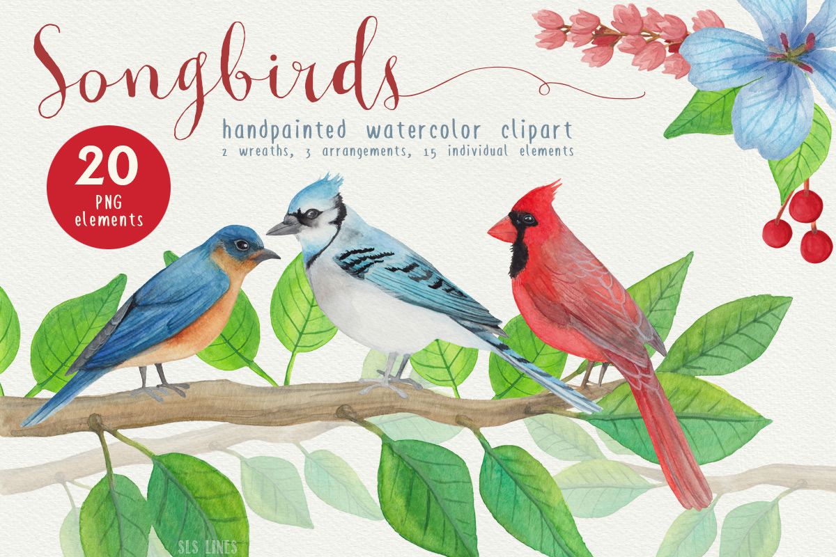 1200x800 Song Birds Watercolor Clipart - Watercolor Bird Clipart