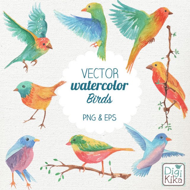 642x642 Vector Watercolor Birds Clip Art Hand Painted Birds Vector Etsy - Watercolor Bird Clipart