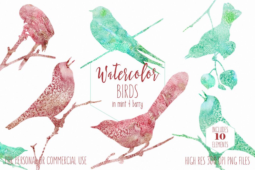 1006x671 Watercolor Bird Clipart Burgundy Amp Mint Watercolor Cute Birds On - Watercolor Bird Clipart