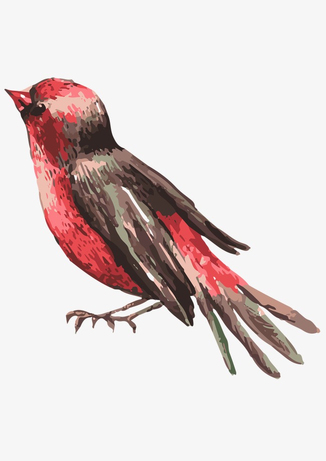 650x919 Watercolor Bird, Watercolor Clipart, Bird Clipart, Watercolor Png - Watercolor Bird Clipart
