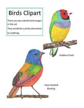 270x350 Watercolor Bird Clipart (Watercolor Whimsy) By Watercolor Whimsey - Watercolor Bird Clipart