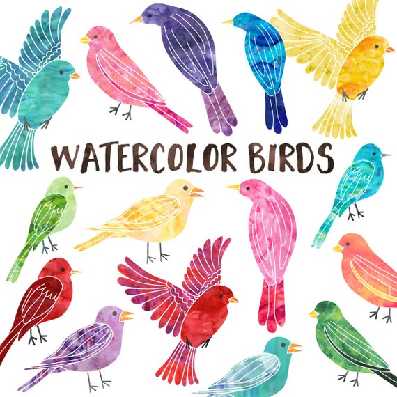 570x570 Watercolor Bird Clipart Commercial Use Instant Download Etsy - Watercolor Bird Clipart