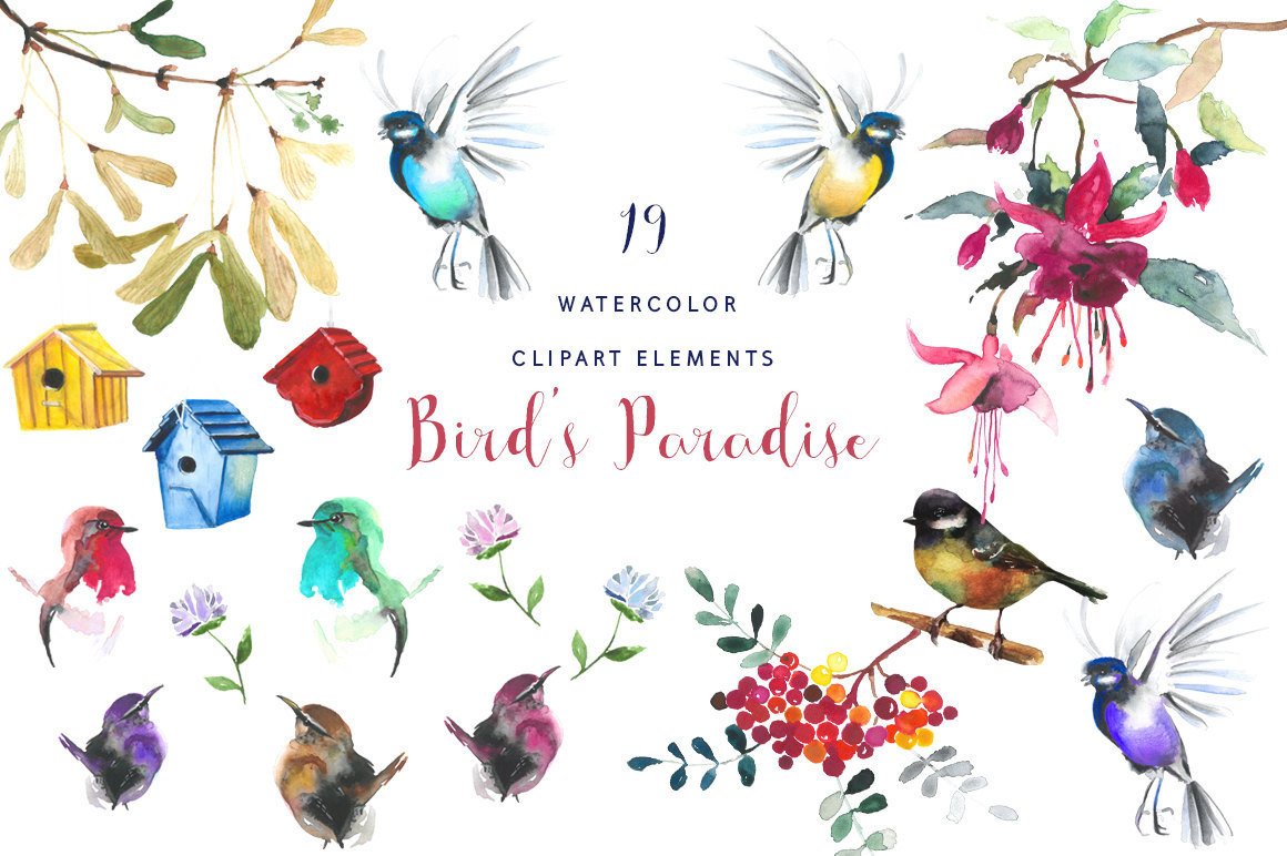1160x772 Watercolor Bird Clipart Handpainted Watercolor Bird Etsy - Watercolor Bird Clipart