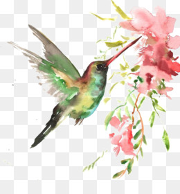 260x280 Watercolor Bird Png Amp Watercolor Bird Transparent Clipart Free - Watercolor Bird Clipart