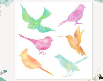 340x270 Watercolor Bird Art Etsy - Watercolor Bird Clipart