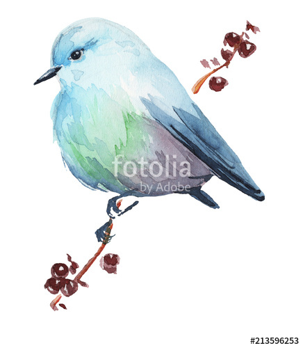 436x500 Watercolor Bird Illustration Clipart Stock Photo And Royalty - Watercolor Bird Clipart