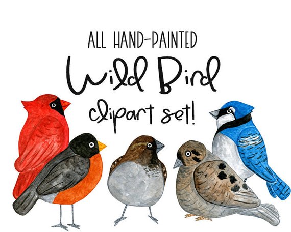570x456 Watercolor Birds Bird Clipart Cardinal Clipart Robin Etsy - Watercolor Bird Clipart