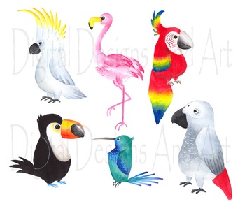 350x292 Watercolor Birds Clipart, Tropical Bird Clipart, Watercolor Bird - Watercolor Bird Clipart