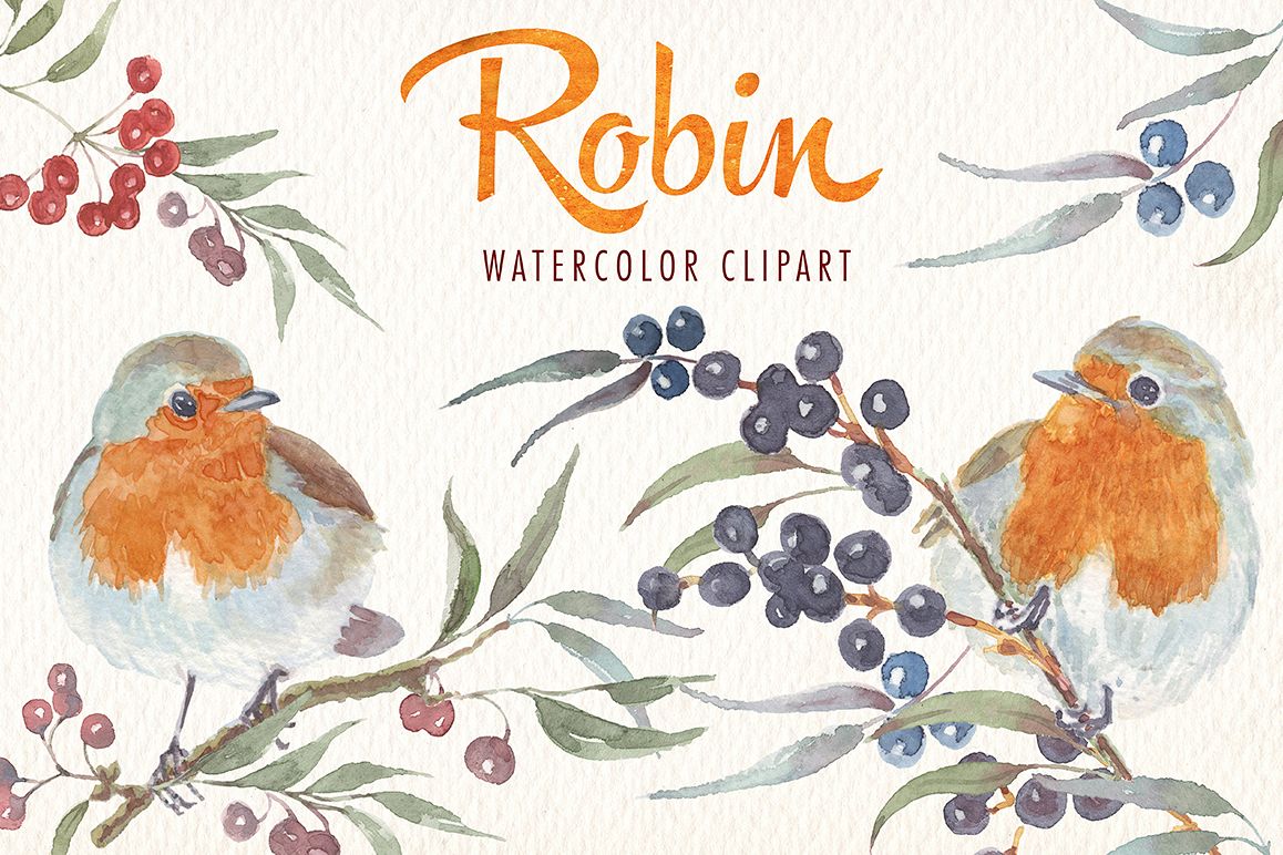 1158x772 Watercolor Robin Bird Clipart - Watercolor Bird Clipart