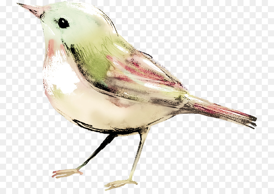 900x640 Bird Watercolor Painting Clip Art - Watercolor Bird Clipart