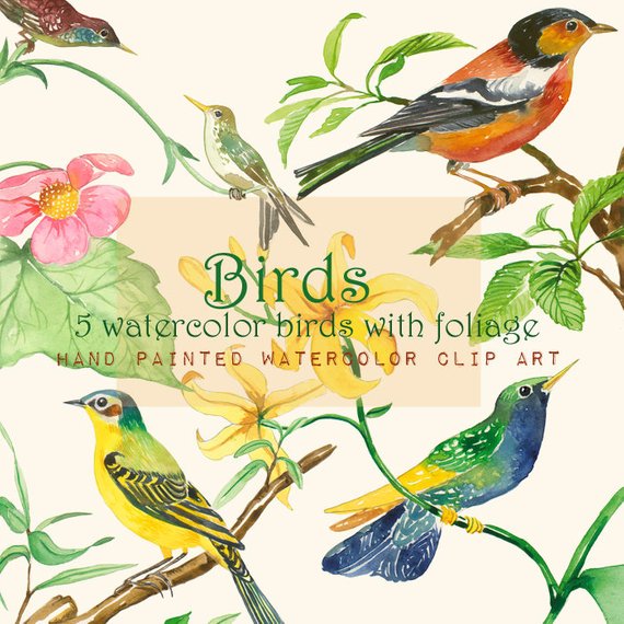 570x570 Bird Clip Art Printable Birds Watercolor Bird Illustration Etsy - Watercolor Bird Clipart