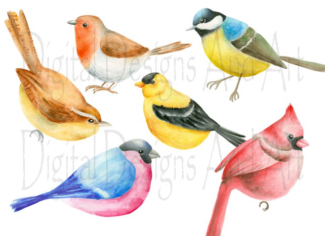 642x467 Bird Clipart Watercolor Birds Clip Art Hand Painted Birds Etsy - Watercolor Bird Clipart
