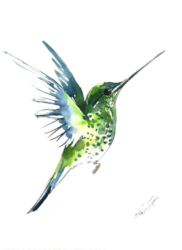 596x820 Flying Bird Painting Whoosh Bird Flying Bird Acrylic Painting - Watercolor Bird Flying