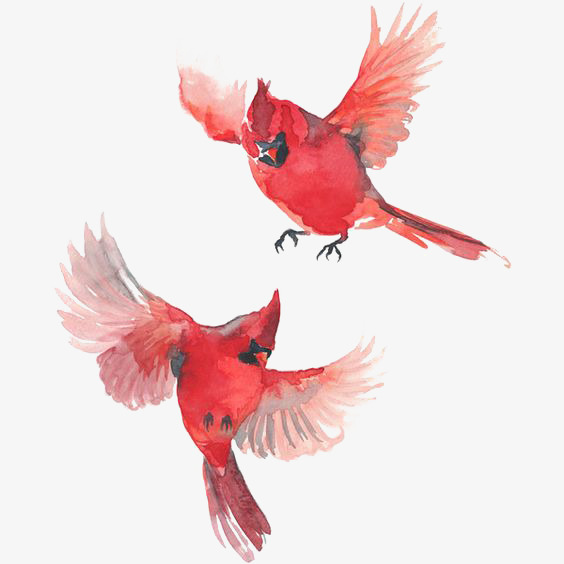 564x564 Flying The Bird, Bird Clipart, Hand Painted Birdie, Watercolor - Watercolor Bird Flying