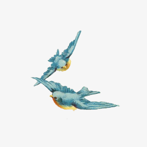 510x510 Flying The Bird, Bird Clipart, Watercolor Bird, Blue Bird Png - Watercolor Bird Flying