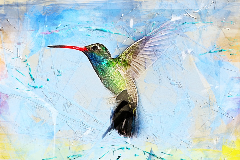 960x640 Free Photo Art Abstract Bird Hummingbird Animal Watercolor - Watercolor Bird Flying