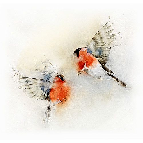 500x500 Fantastic Watercolor Bird Tattoos - Watercolor Bird Flying