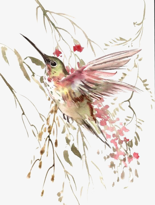 543x720 Watercolor Painted Birds Flying, Birds, Fly, Watercolor Png And - Watercolor Bird Flying