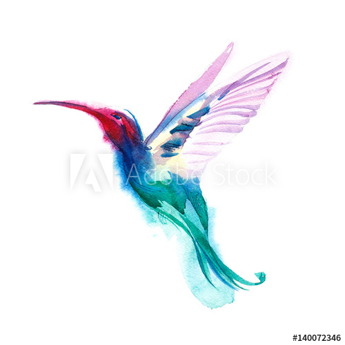 500x500 Watercolor Blue Humming Bird Flying And Isolated On White - Watercolor Bird Flying