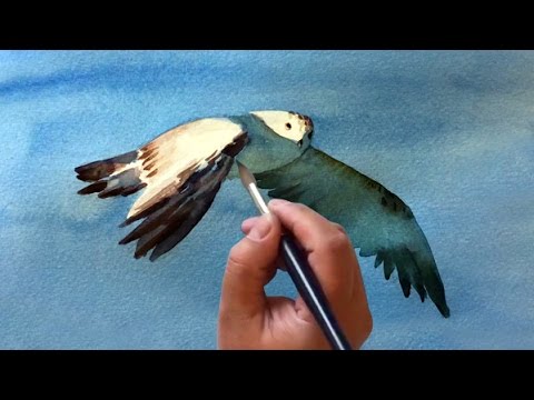 480x360 Watercolor Painting With Masking Tape - Watercolor Bird Flying