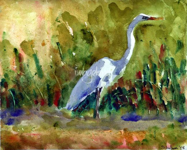 650x519 Stunning Watercolor Bird Paintings Artwork For Sale On Fine Art - Watercolor Bird Prints