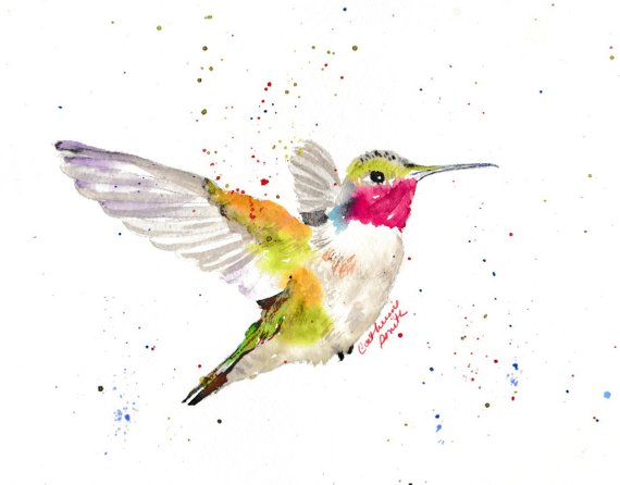 570x446 Hummingbirds Watercolor Birds Watercolor Hummingbird Etsy - Watercolor Bird Prints