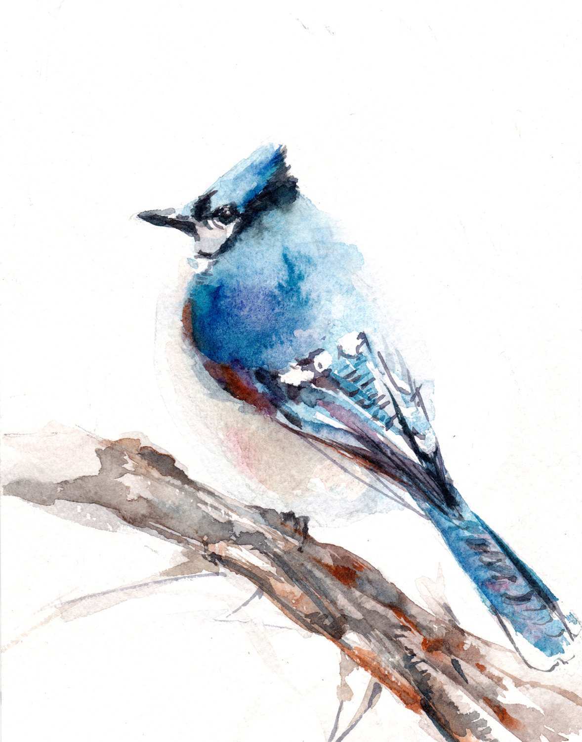 1178x1500 Blue Jay Painting Awesome Blue Jay Bird Watercolor Painting Art - Watercolor Bird Prints