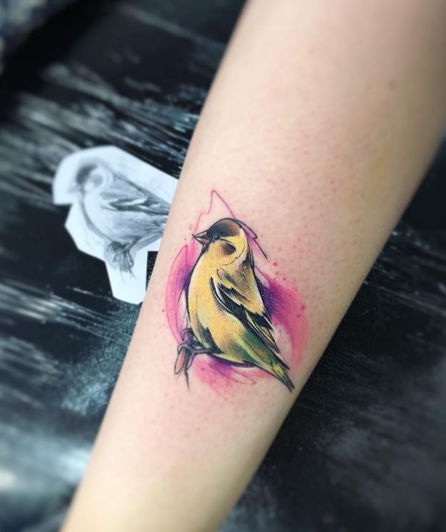 625x746 Watercolor Bird Tattoo - Watercolor Bird Tattoo