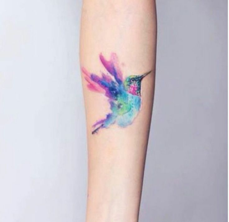 736x715 Watercolor Bird Tattoo On Forearm By Aislingh - Watercolor Bird Tattoo