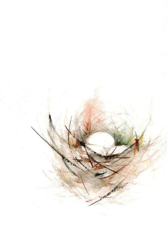 570x797 Birds Nest Painting Print From Original Watercolor Painting Art - Watercolor Birds Nest