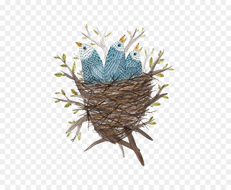 900x740 Edible Birds Nest Bird Nest Watercolor Painting - Watercolor Birds Nest