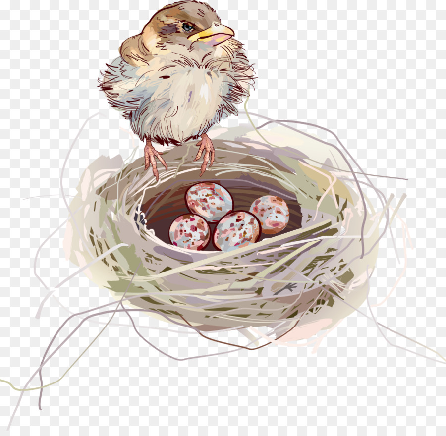 900x880 Edible Birds Nest Swallow - Watercolor Birds Nest