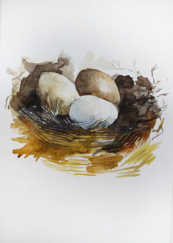 570x800 Original Watercolor Nest, Birds Nest Watercolor, Wall Art, Bird - Watercolor Birds Nest