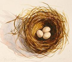 236x204 The 96 Best Birds Images Watercolor Feather - Watercolor Birds Nest