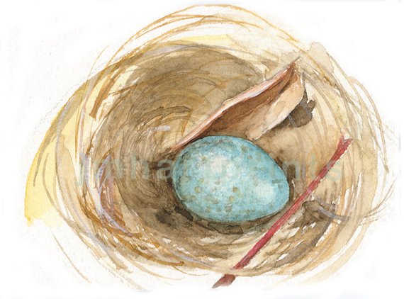 570x422 Watercolor Bird Nest Bird Nest Print Nest With Egg Painting Etsy - Watercolor Birds Nest