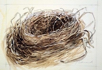 430x297 Watercolor Trinkets Art Watercolor Bird - Watercolor Birds Nest