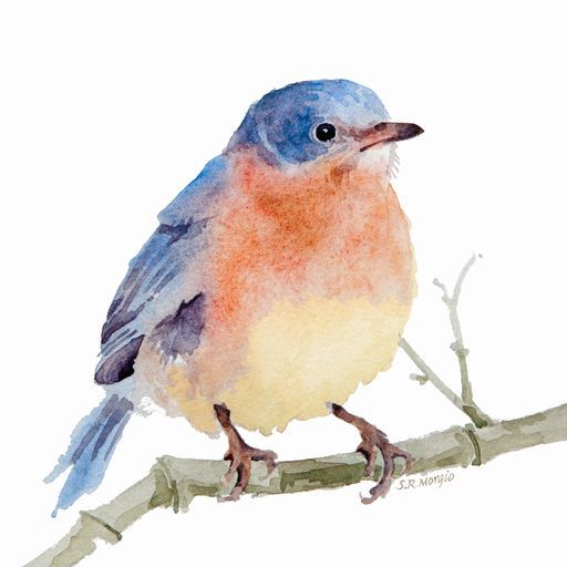 512x512 Pictures Watercolor Tutorial Birds, - Watercolor Birds Tutorial