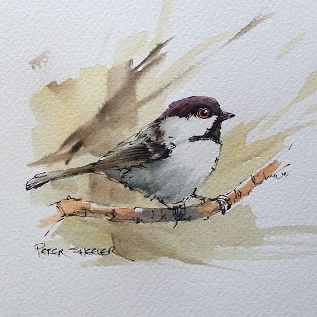 653x653 The Chronicles Of Watercolor Birds Tutorial Watercolor Bird - Watercolor Birds Tutorial