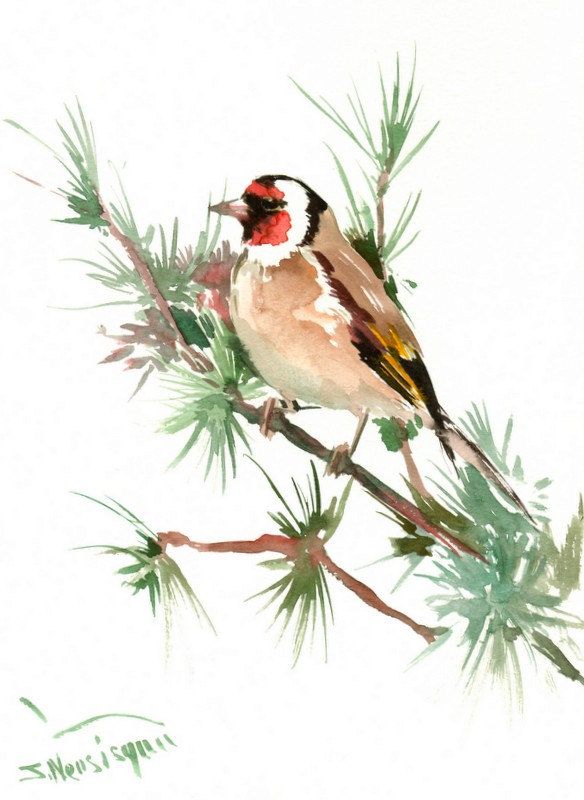 584x800 Simple Watercolor Animals - Watercolor Birds Tutorial