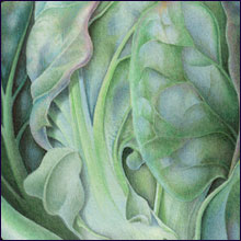 220x220 Susannah Blaxill - Watercolor Black Background