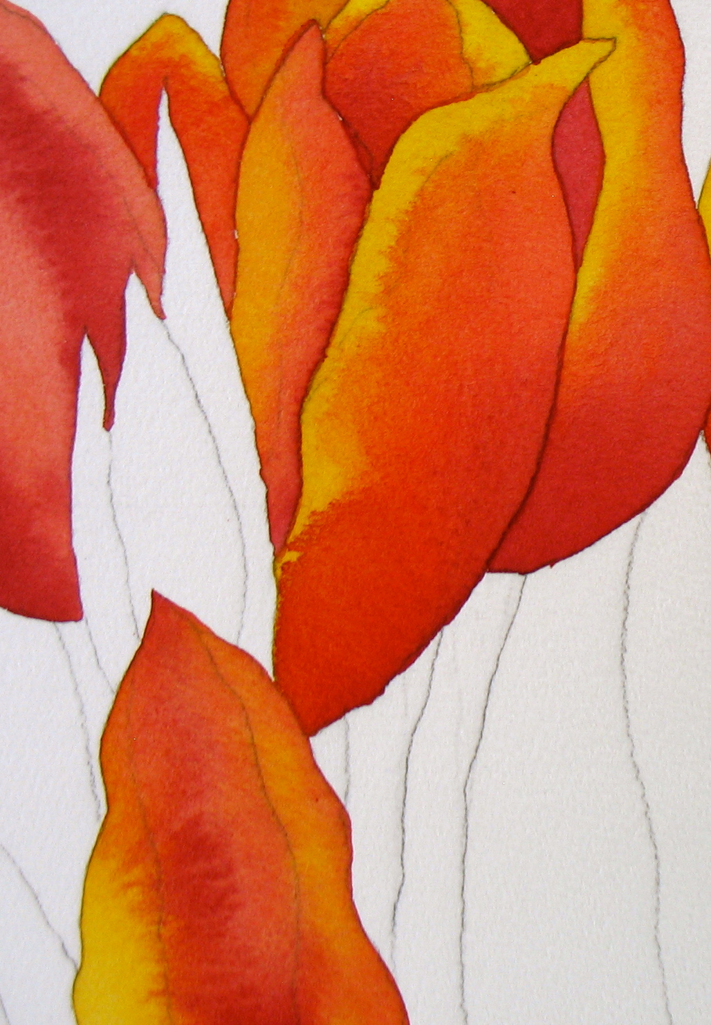 1028x1482 The Painted Prism Watercolor Project, Step By Step Red Tulips - Watercolor Black Background