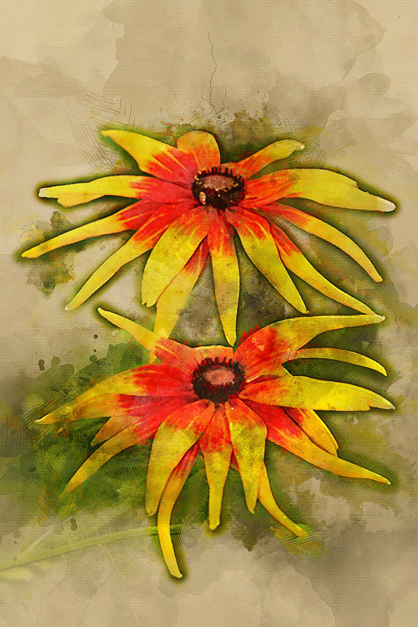 600x900 Black Eyed Susan Watercolor Digital Art By Sgphoto - Watercolor Black Eyed Susan