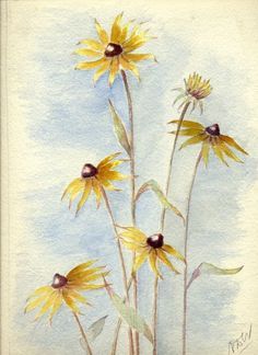 236x324 Watercolor Black Eyed Susan - Watercolor Black Eyed Susan